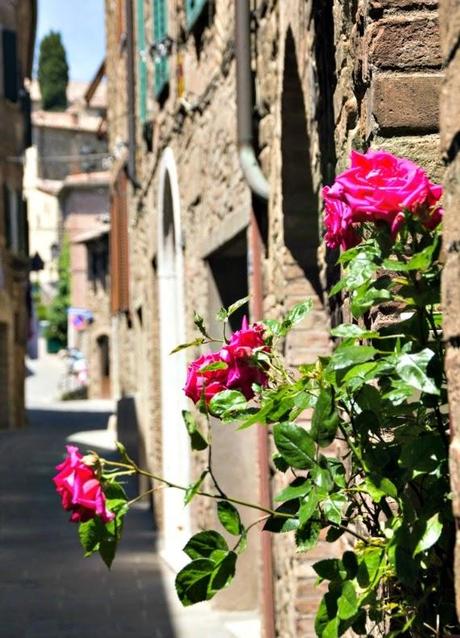 Sei mai stato a Montalcino? Insalata di cuori di indivia, fichi e Notti Bianche