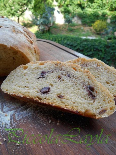 Pane olive e pasta madre  (32)b