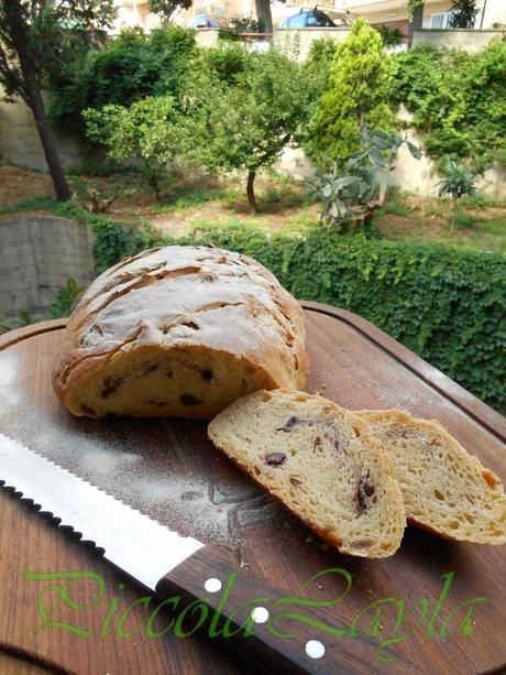 Pane olive e pasta madre  (36)b