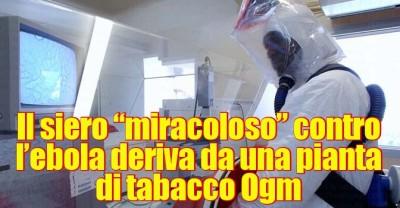 EBOLA - Il siero sperimentale proviene dal tabacco