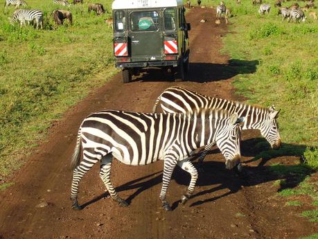 10 falsi miti sull'Africa da sfatare (subito!)