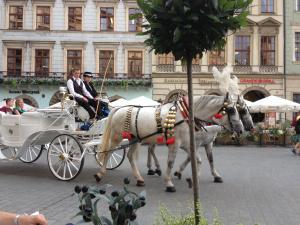 Cavalli a Cracovia