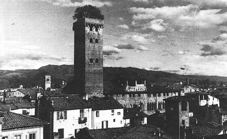 Lucca - Torre Guinigi - Foto tratta da Versilia giovinezza del mondo -  Pacini Fazzi Ed. 1982