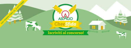 Asiago cheesfida