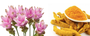 Curcuma - copertina