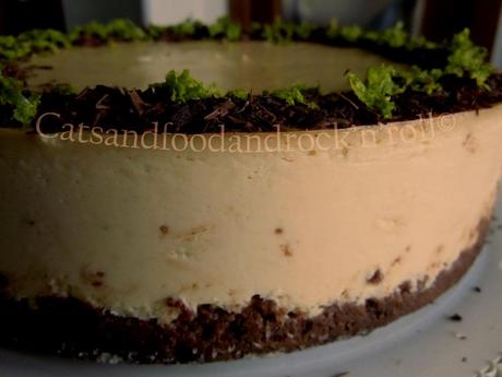 Lime and chocolate cheesecake