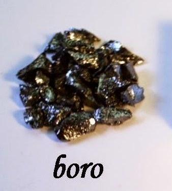 Alberi mancanti di boro o di zinco possono essere più soggetti a certe malattie batteriche o virali