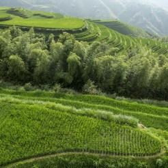 7 mila miglia intorno al mondo #8: Cina, rotta sul Fiume Azzurro