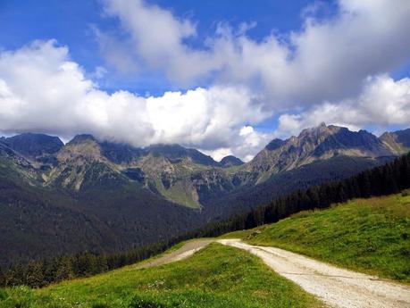 albe in malga trentino val vanoi primiero