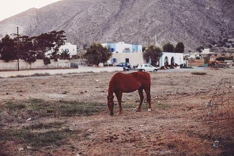 GREECE : PERIVOLOS & THIRA