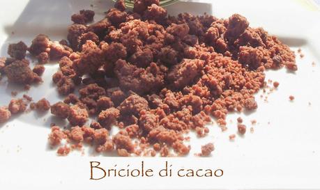 Briciole di cacao ovvero come ti impreziosisco il gelato, lo yogurt , la mousse e....