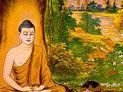 diverse opinioni Come diventare saggi Varie