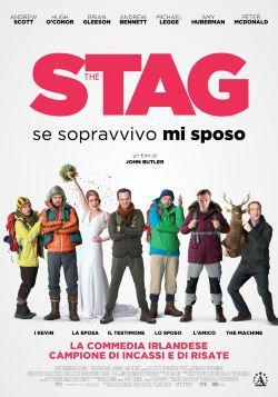 The Stag - Se sopravvivo mi sposo ( 2013 )