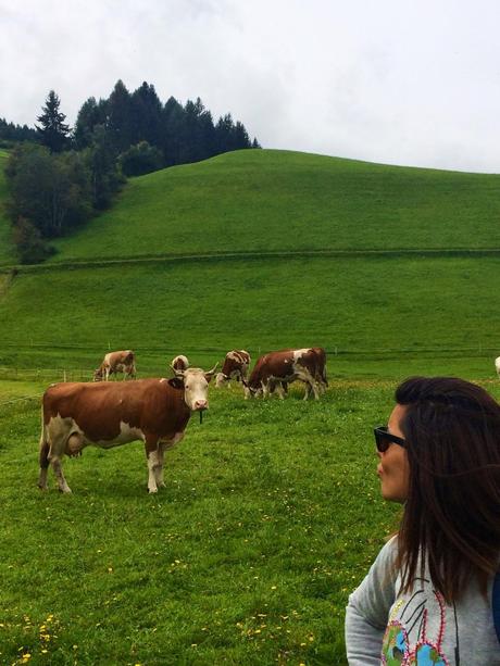 VIAGGI / SAN CANDIDO - LIENZ IN BICI