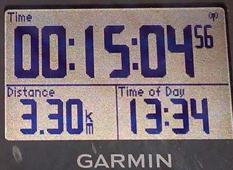 TomTom Runner vs. Garmin 310xt  vs. Garmin  910xt