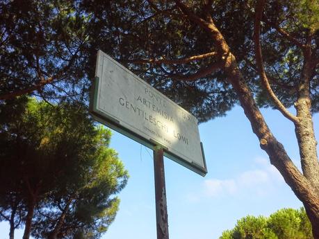 Le condizioni indecenti della passerella pedonale che unisce le due parti di Villa Pamphili. Tutto in abbandono, architetture di qualità incluse Le condizioni indecenti della passerella pedonale che unisce le due parti di Villa Pamphili. Tutto in abbandono, architetture di qualità incluse