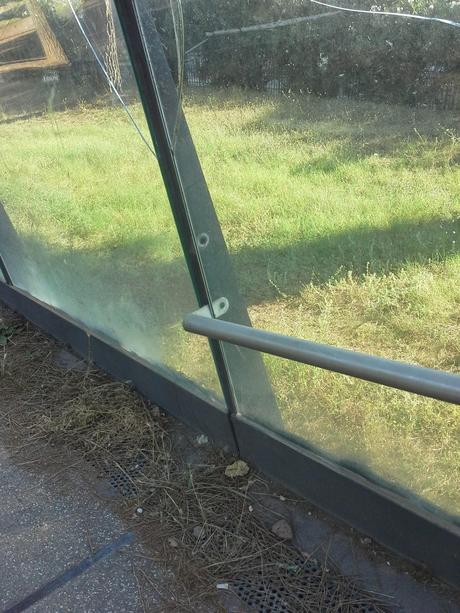 Le condizioni indecenti della passerella pedonale che unisce le due parti di Villa Pamphili. Tutto in abbandono, architetture di qualità incluse Le condizioni indecenti della passerella pedonale che unisce le due parti di Villa Pamphili. Tutto in abbandono, architetture di qualità incluse