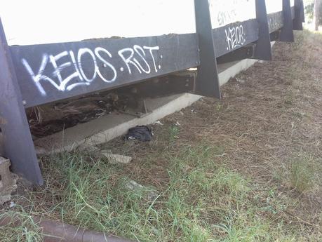 Le condizioni indecenti della passerella pedonale che unisce le due parti di Villa Pamphili. Tutto in abbandono, architetture di qualità incluse Le condizioni indecenti della passerella pedonale che unisce le due parti di Villa Pamphili. Tutto in abbandono, architetture di qualità incluse