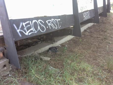 Le condizioni indecenti della passerella pedonale che unisce le due parti di Villa Pamphili. Tutto in abbandono, architetture di qualità incluse Le condizioni indecenti della passerella pedonale che unisce le due parti di Villa Pamphili. Tutto in abbandono, architetture di qualità incluse