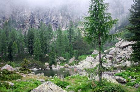 ALTA VIA DEL GRANITO: seconda tappa - su, giù, per di qua, per di là