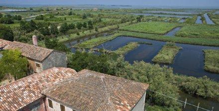 cavallino_veneto