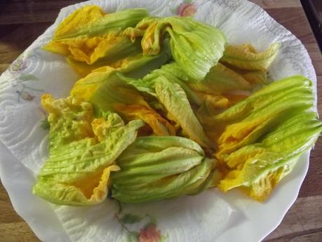 FIORI DI ZUCCA RIPIENI