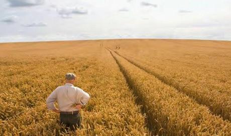 L'agricoltura non muore mai