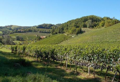 Colline astigiane