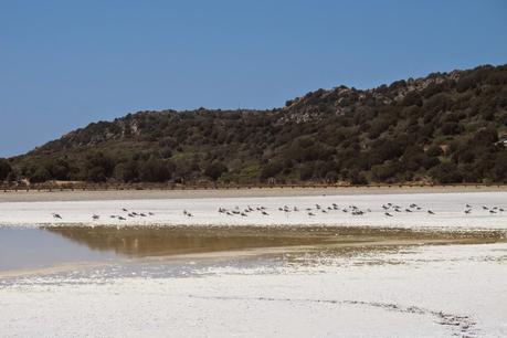 Sardegna Sud Ovest