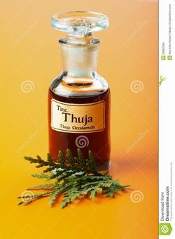 Tintura madre di thuya occidentalis