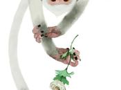 Alla ricerca dell’identità avuta