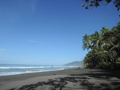 Parco Nazionale Corcovado - Costa Rica