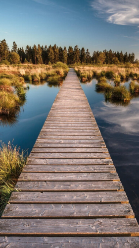 Ponte nella Palude