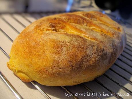 Pane casereccio ai cipollotti e mela