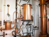 grappe distillati spiritosi