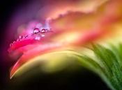 nostra "giornata miracoli" consiglio settimana migliorare propria vita quella altrui