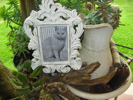 shabby chic, la cornice con il gatto