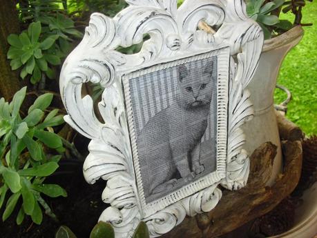 shabby chic, la cornice con il gatto