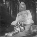 Bohemian Grove 2014: politici, militari e gente che conta brindano alla devastazione del mondo (NOMI e FOTO) BohemianGrove4