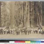 Bohemian Grove 2014: politici, militari e gente che conta brindano alla devastazione del mondo (NOMI e FOTO) BohemianGrove228