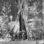 Bohemian Grove 2014: politici, militari e gente che conta brindano alla devastazione del mondo (NOMI e FOTO) BohemianGrove110