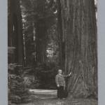 Bohemian Grove 2014: politici, militari e gente che conta brindano alla devastazione del mondo (NOMI e FOTO) BohemianGrove197