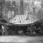 Bohemian Grove 2014: politici, militari e gente che conta brindano alla devastazione del mondo (NOMI e FOTO) BohemianGrove99