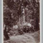 Bohemian Grove 2014: politici, militari e gente che conta brindano alla devastazione del mondo (NOMI e FOTO) BohemianGrove52