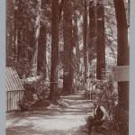 Bohemian Grove 2014: politici, militari e gente che conta brindano alla devastazione del mondo (NOMI e FOTO) BohemianGrove134