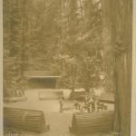 Bohemian Grove 2014: politici, militari e gente che conta brindano alla devastazione del mondo (NOMI e FOTO) BohemianGrove261
