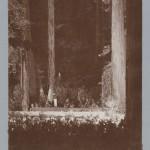 Bohemian Grove 2014: politici, militari e gente che conta brindano alla devastazione del mondo (NOMI e FOTO) BohemianGrove184