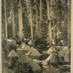 Bohemian Grove 2014: politici, militari e gente che conta brindano alla devastazione del mondo (NOMI e FOTO) BohemianGrove274