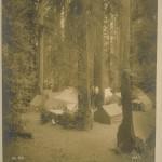 Bohemian Grove 2014: politici, militari e gente che conta brindano alla devastazione del mondo (NOMI e FOTO) BohemianGrove260