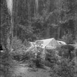 Bohemian Grove 2014: politici, militari e gente che conta brindano alla devastazione del mondo (NOMI e FOTO) BohemianGrove50